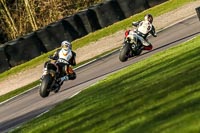 Oulton-Park-20th-March-2020;PJ-Motorsport-Photography-2020;anglesey;brands-hatch;cadwell-park;croft;donington-park;enduro-digital-images;event-digital-images;eventdigitalimages;mallory;no-limits;oulton-park;peter-wileman-photography;racing-digital-images;silverstone;snetterton;trackday-digital-images;trackday-photos;vmcc-banbury-run;welsh-2-day-enduro